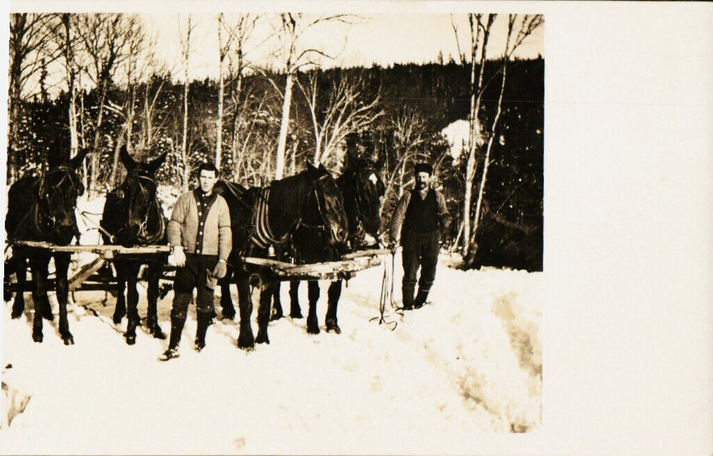 Velox 1907-1917 Real Photo Postcard RPPC Winter Logging With Horse Teams
