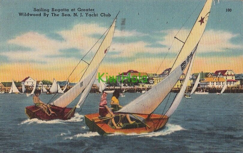 Postcard Sailing Regatta Greater Wildwood by Sea NJ Yacht Club 1952