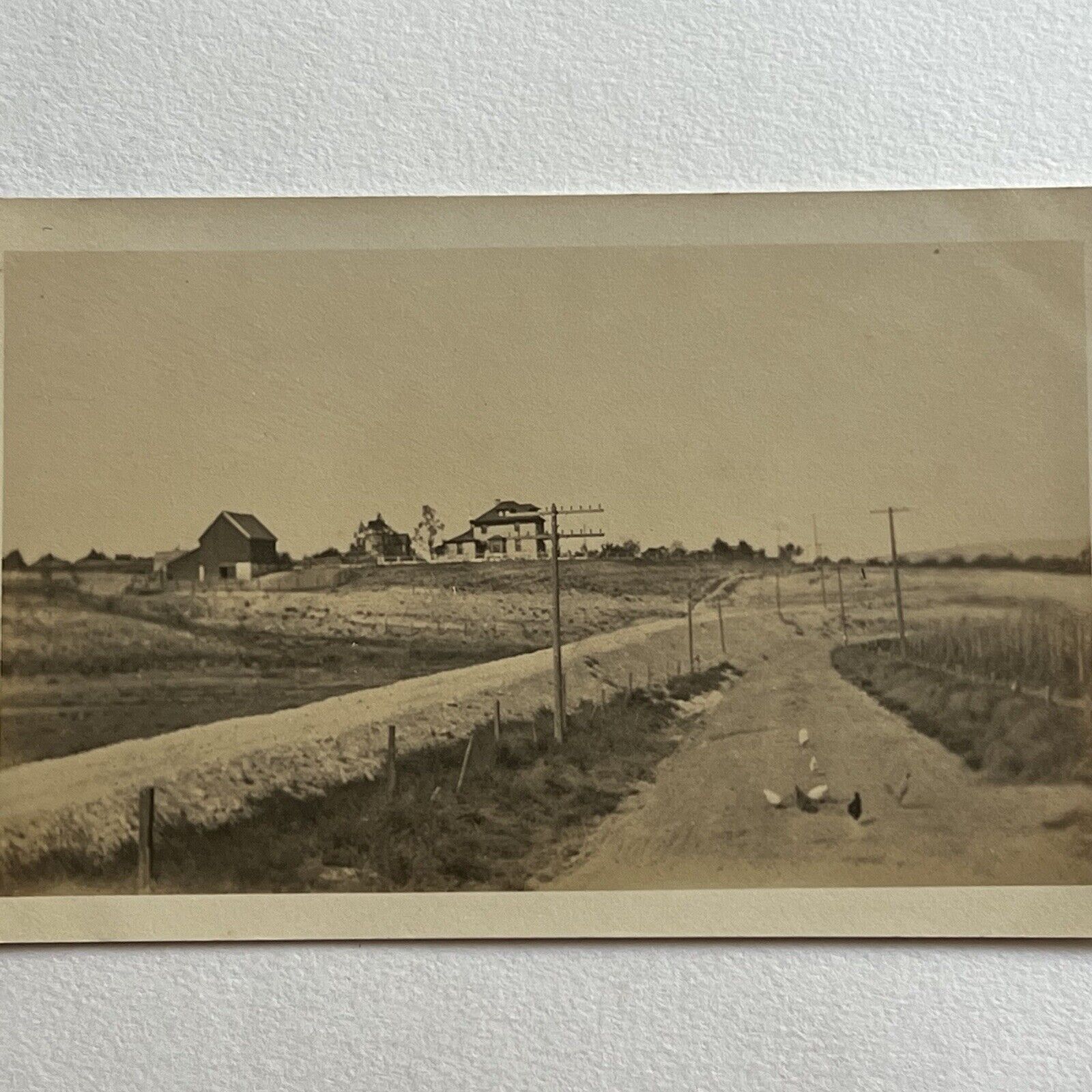 Antique RPPC Real Postcard Chickens On Dirt Road Farm Life House Barn Everyday