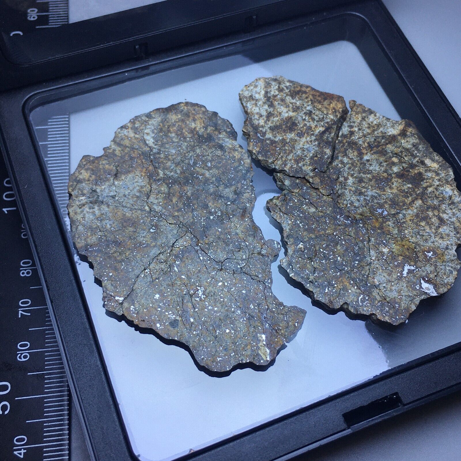 North West Africa 869-NWA869 meteorite