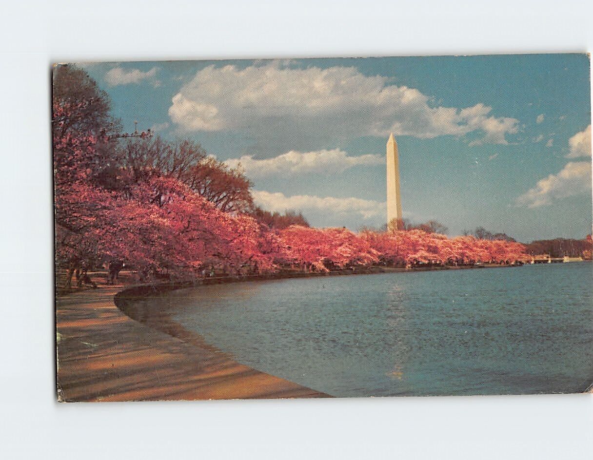 Postcard Picturesque Washington Monument Washington DC USA