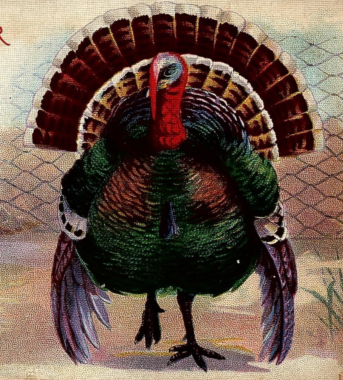 c1915 THANKSGIVING CHEER TURKEY POEM FENCE FOOD PAY COLORFUL POSTCARD 34-74