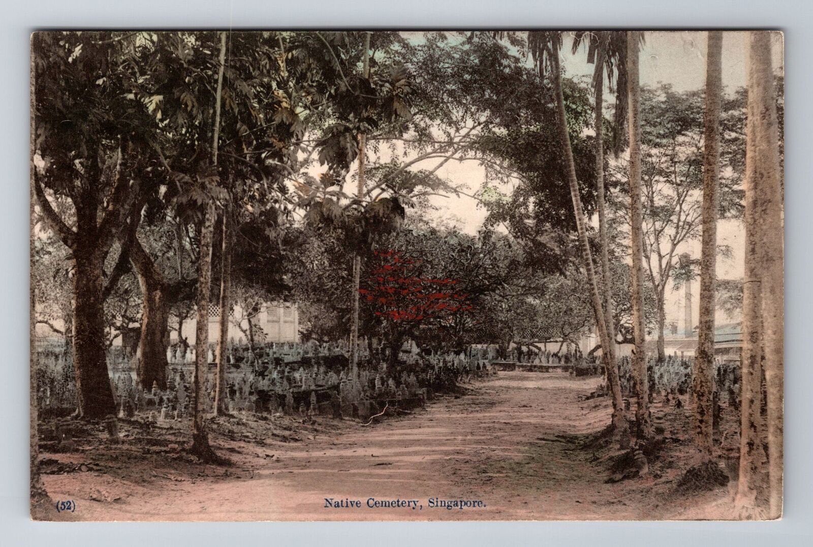 Hand Color Tinted -Native Cemetery, Singapore, Antique, Vintage Postcard