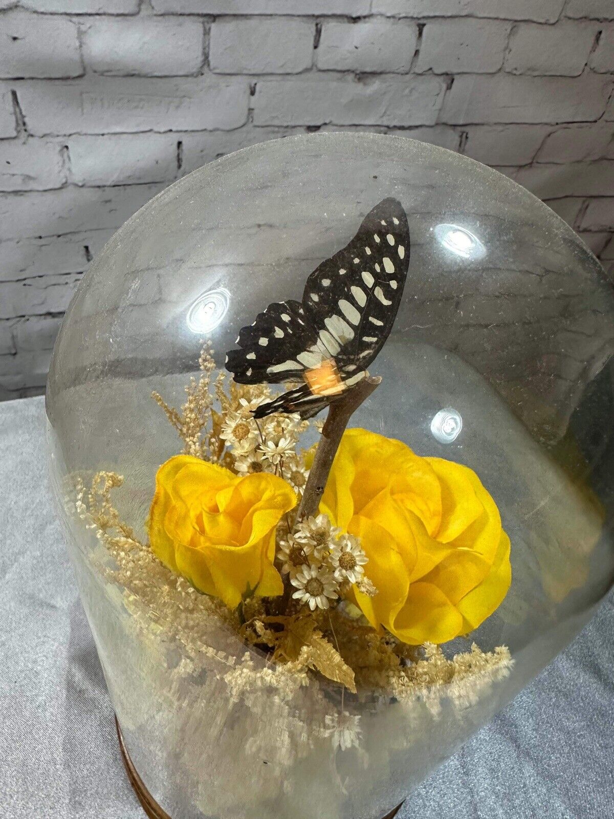 Vintage 1970s Glass Dome Taxidermy BUTTERFLIES & FLORAL Display Terrarium Nature