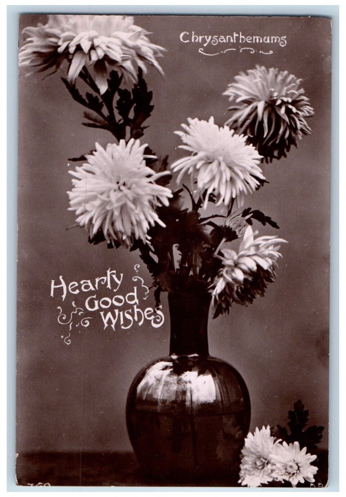 Portland Oregon OR Postcard RPPC Photo Chrysanthemum Flowers 1908 Antique Posted