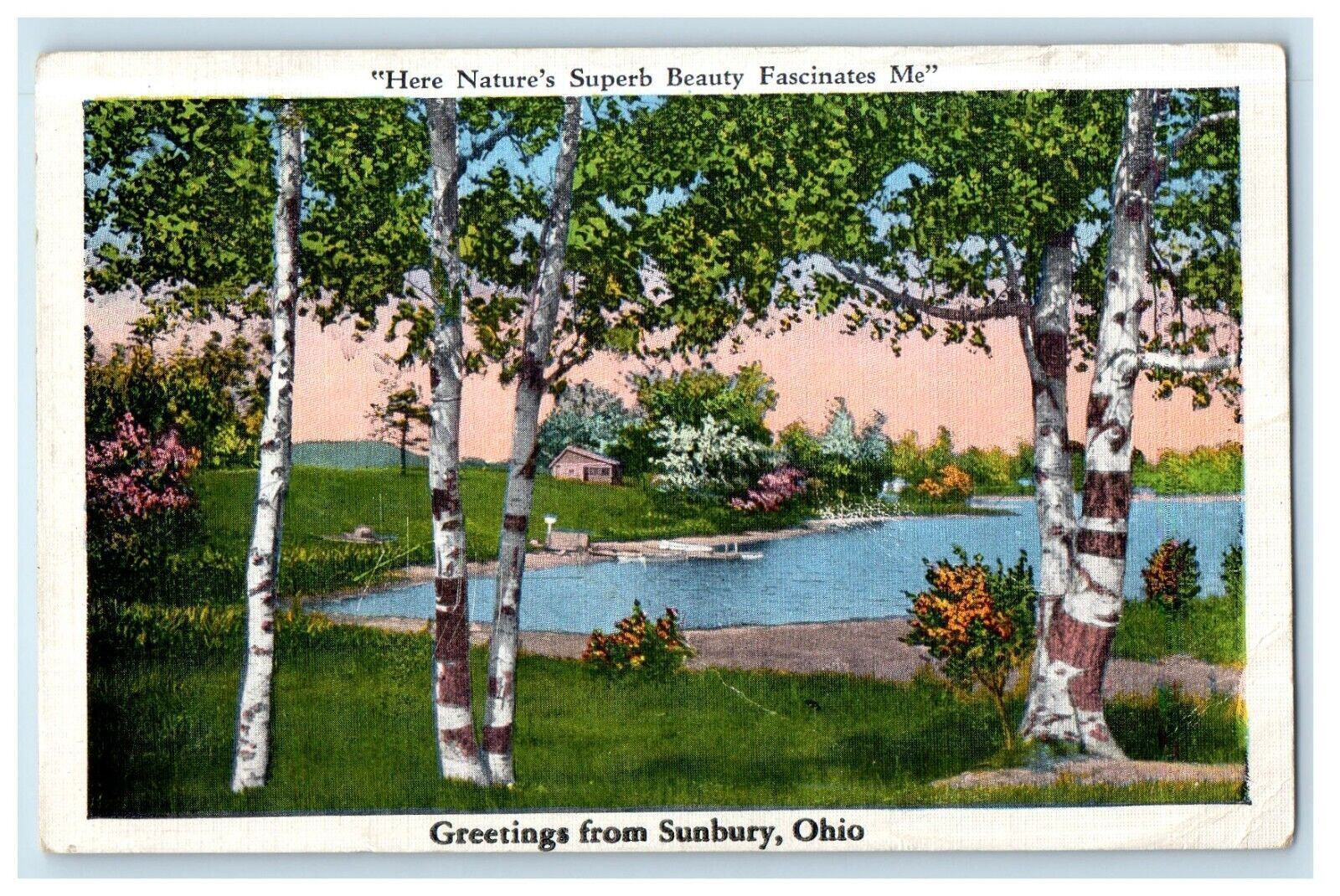 1937 Greetings From Sunbury Ohio OH, Nature's Superb Beauty Fascinates Postcard