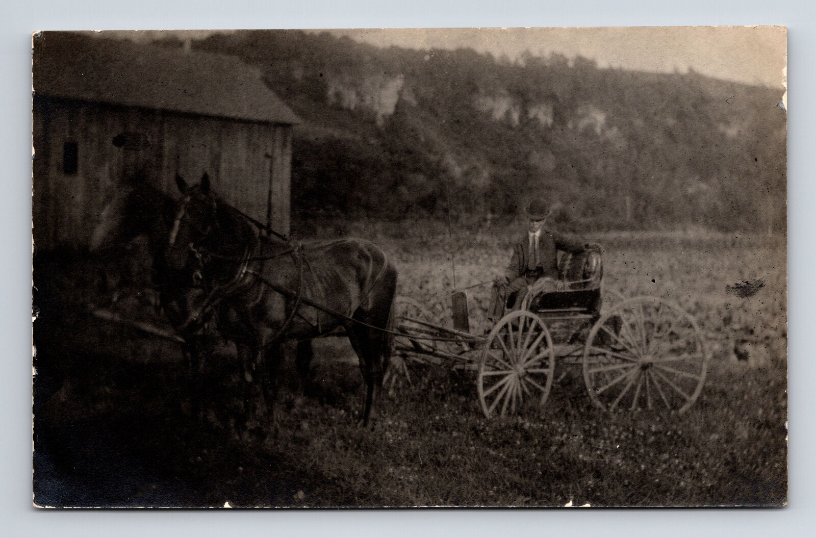 RPPC Two Horse Drawn Buggy at Unidentified Farm by Bluffs Cliffs Postcard