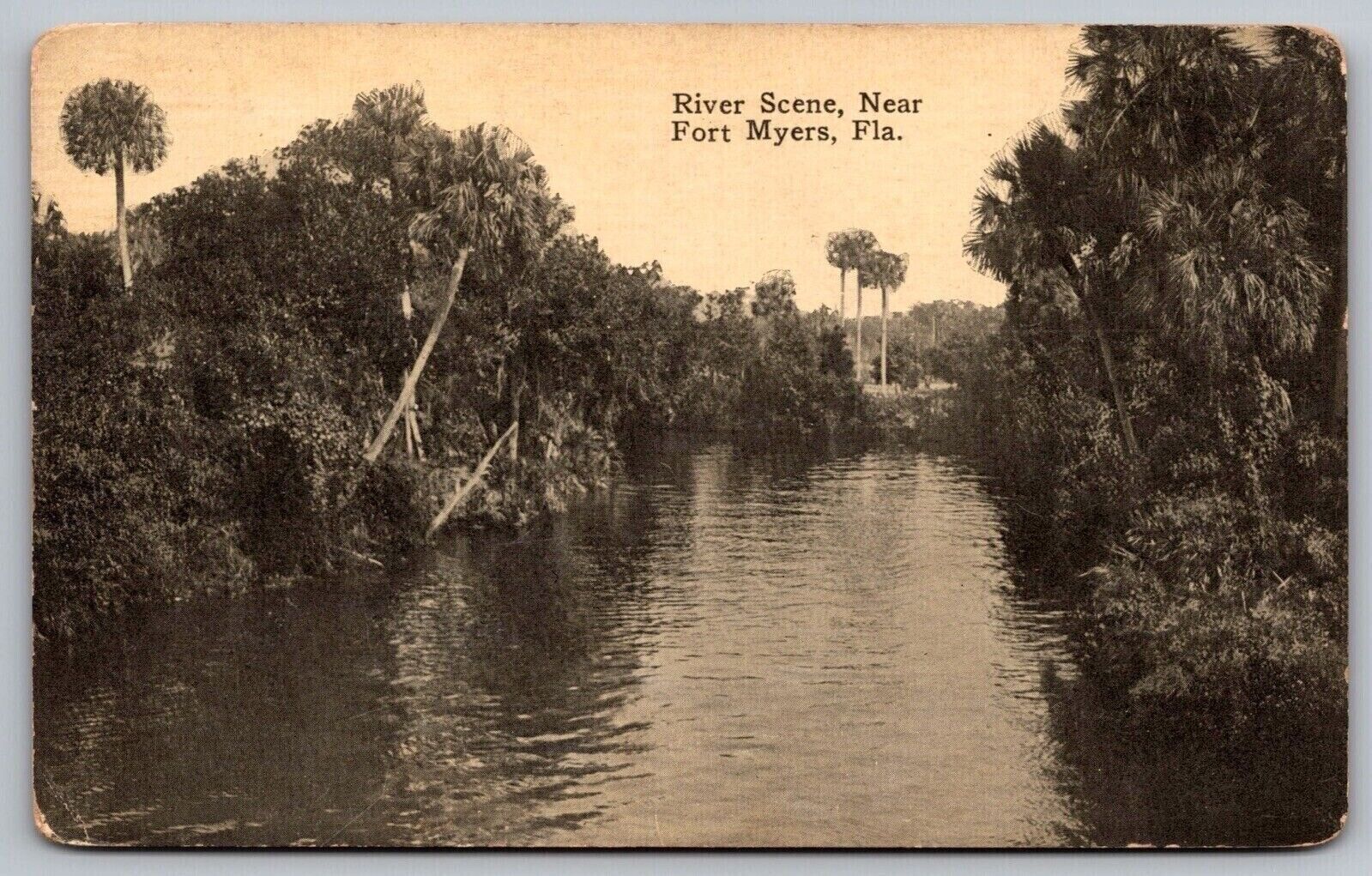 River Scene Near Fort Myers Florida Fl Postcard