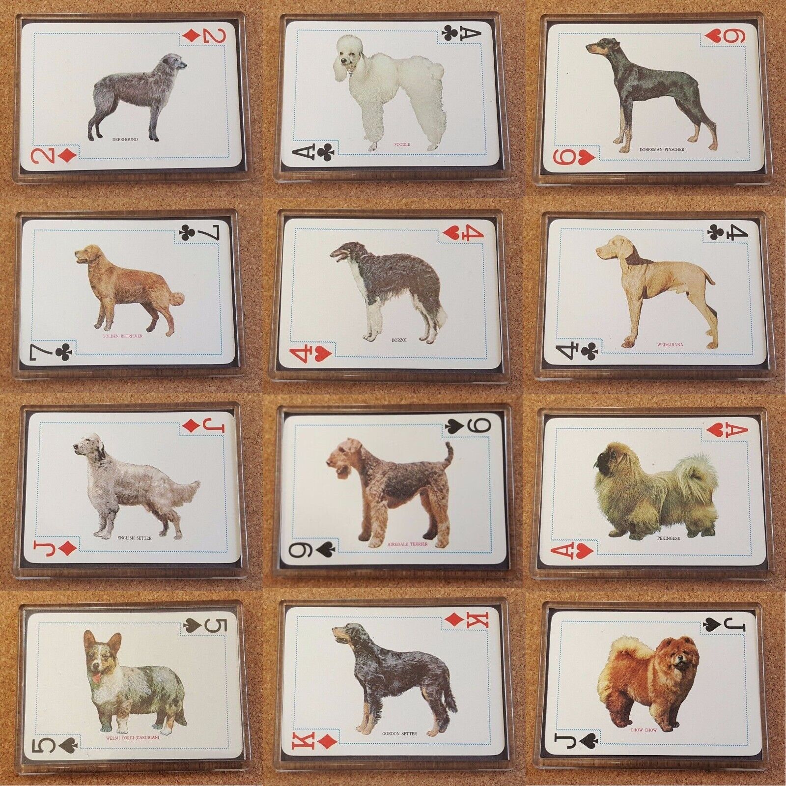 Fridge Magnet (FB6) Playing Card Dogs Of The World - Various Breeds