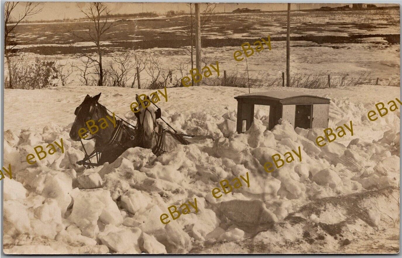Postcard Horse and Buggy in Snow Drift RPPC Real Photo Eo