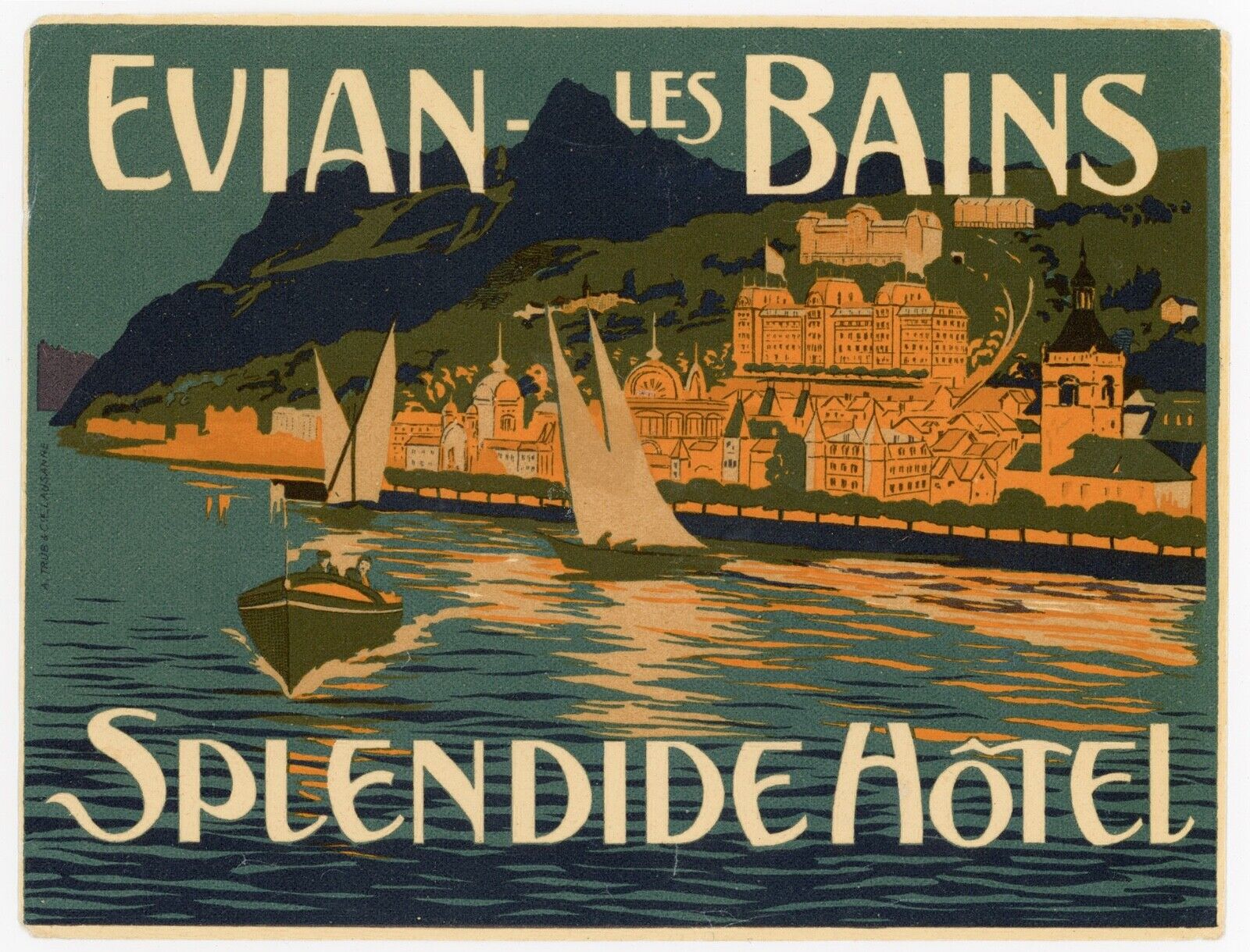 Evian Les Bains France Splendide Hotel LUGGAGE Label 1910 very rare TRÜB
