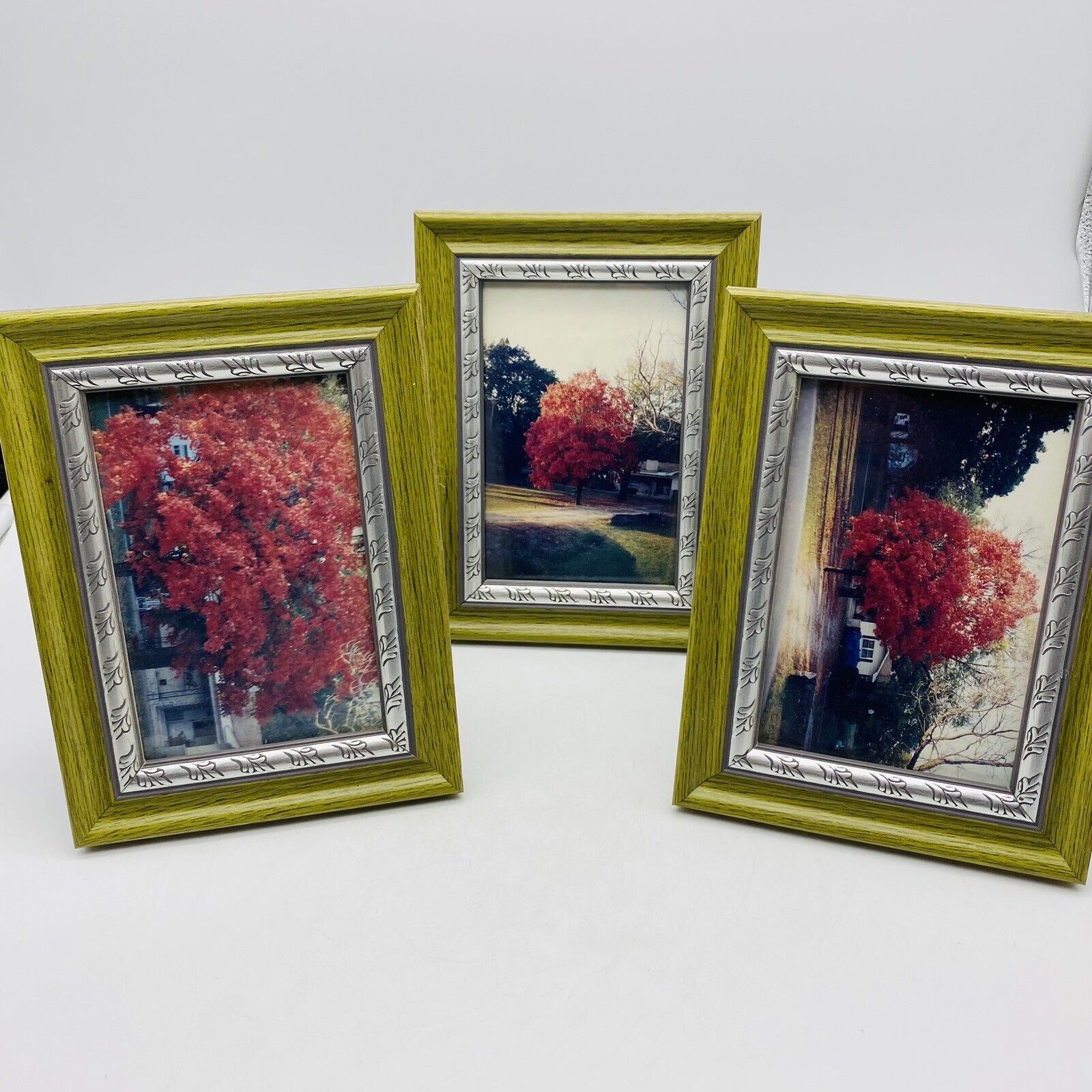 Set Of 3 Vintage Wood Picture Frames with Green Accent Photos Of Trees & House
