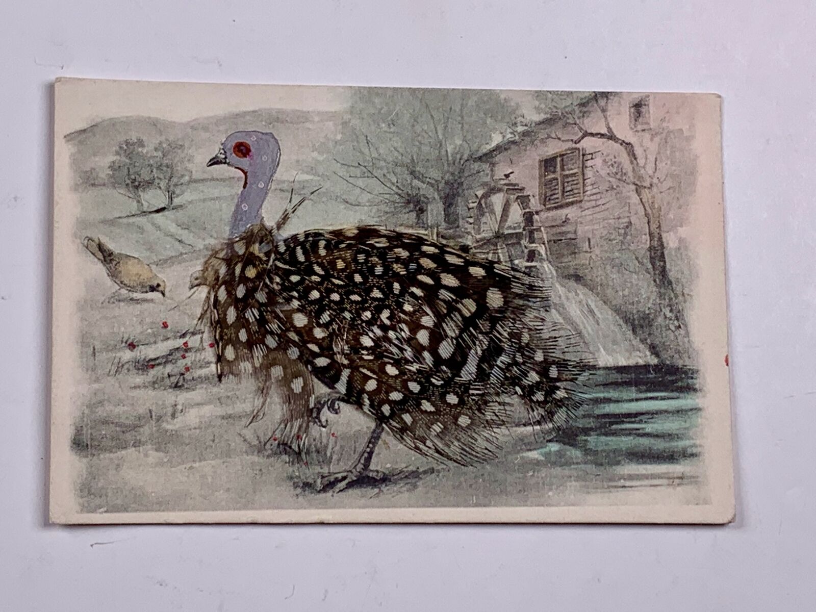Postcard Farm Scene Bird With Real Feathers 