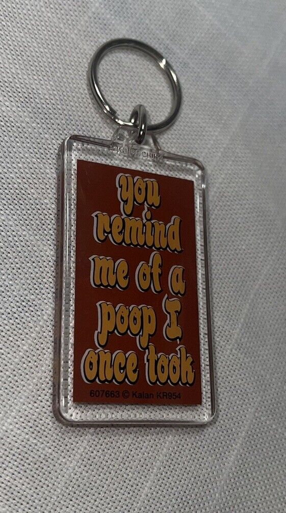 VTG Key Ring Chain Fob You Remind Me Of A Poop I Once Took Gag Two Sided