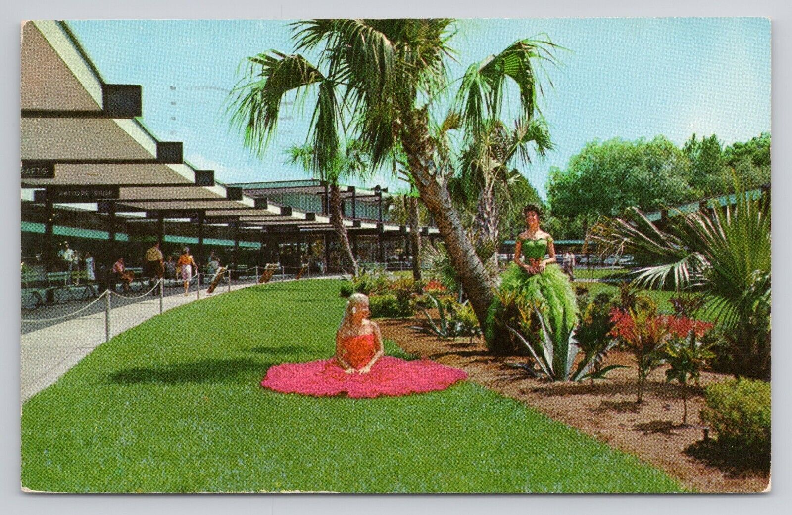 Postcard Florida\'s Silver Springs Friendly Ocala
