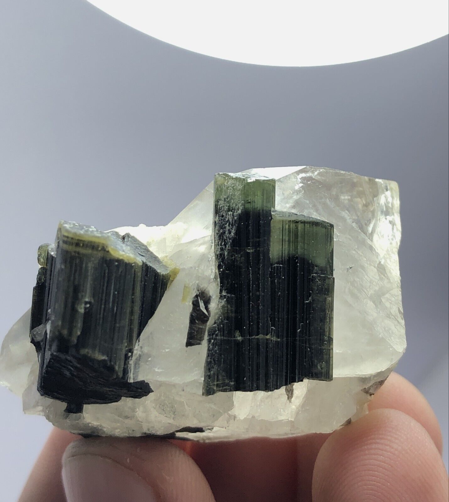 55g Green Cap Tourmaline with Quartz Crystal Mineral Specimen Skardu Pakistan