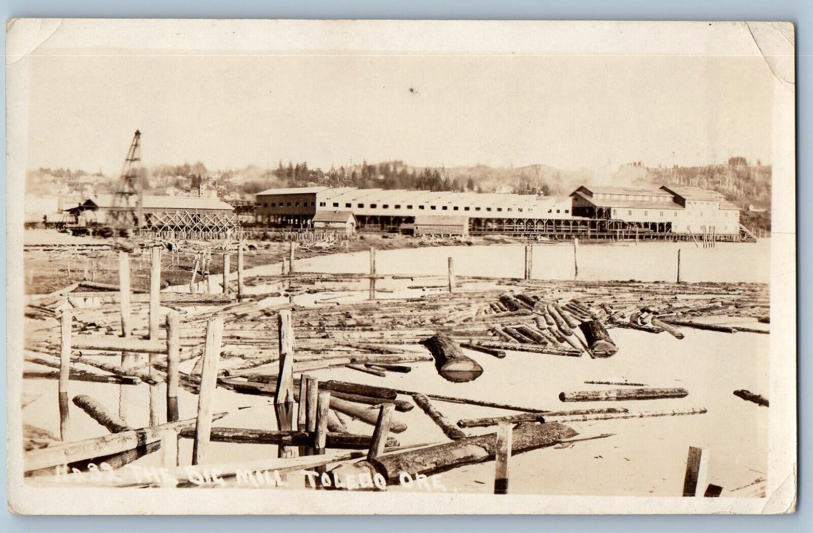Toledo Oregon OR Postcard RPPC Photo The Big Mill Logs c1910's Unposted Antique