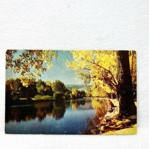 Postcard Truckee River Valley Near Reno Nevada Autumn Wesco Color Card Vintage