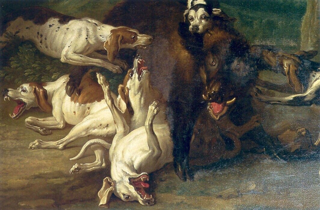 Oil painting Jean-Baptiste-Oudry-Wild-boar-hunting dogs hound wild animal canvas