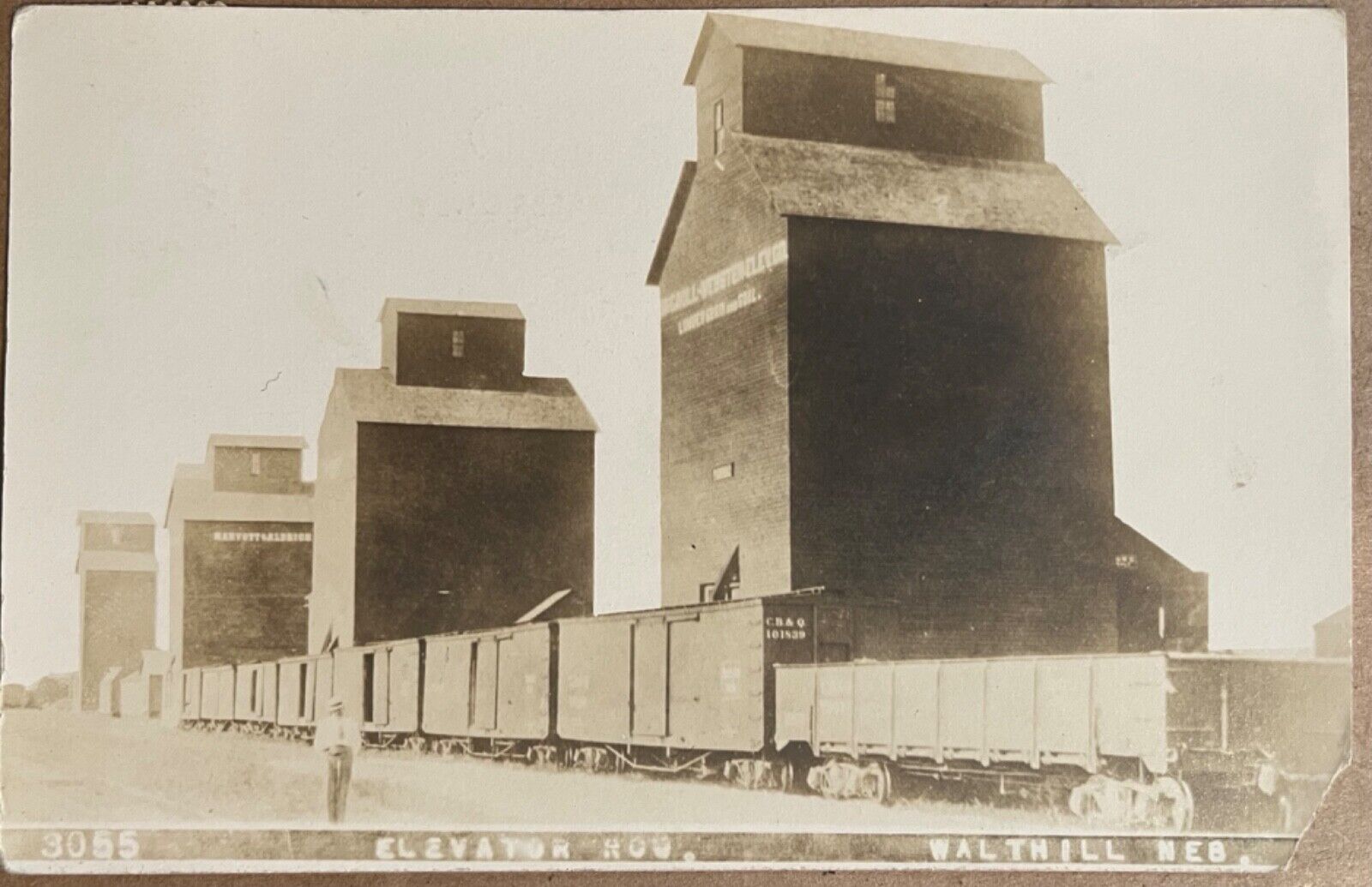 RPPC Walthill Nebraska Grain Elevators CB&Q Railroad Real Photo Postcard 1909
