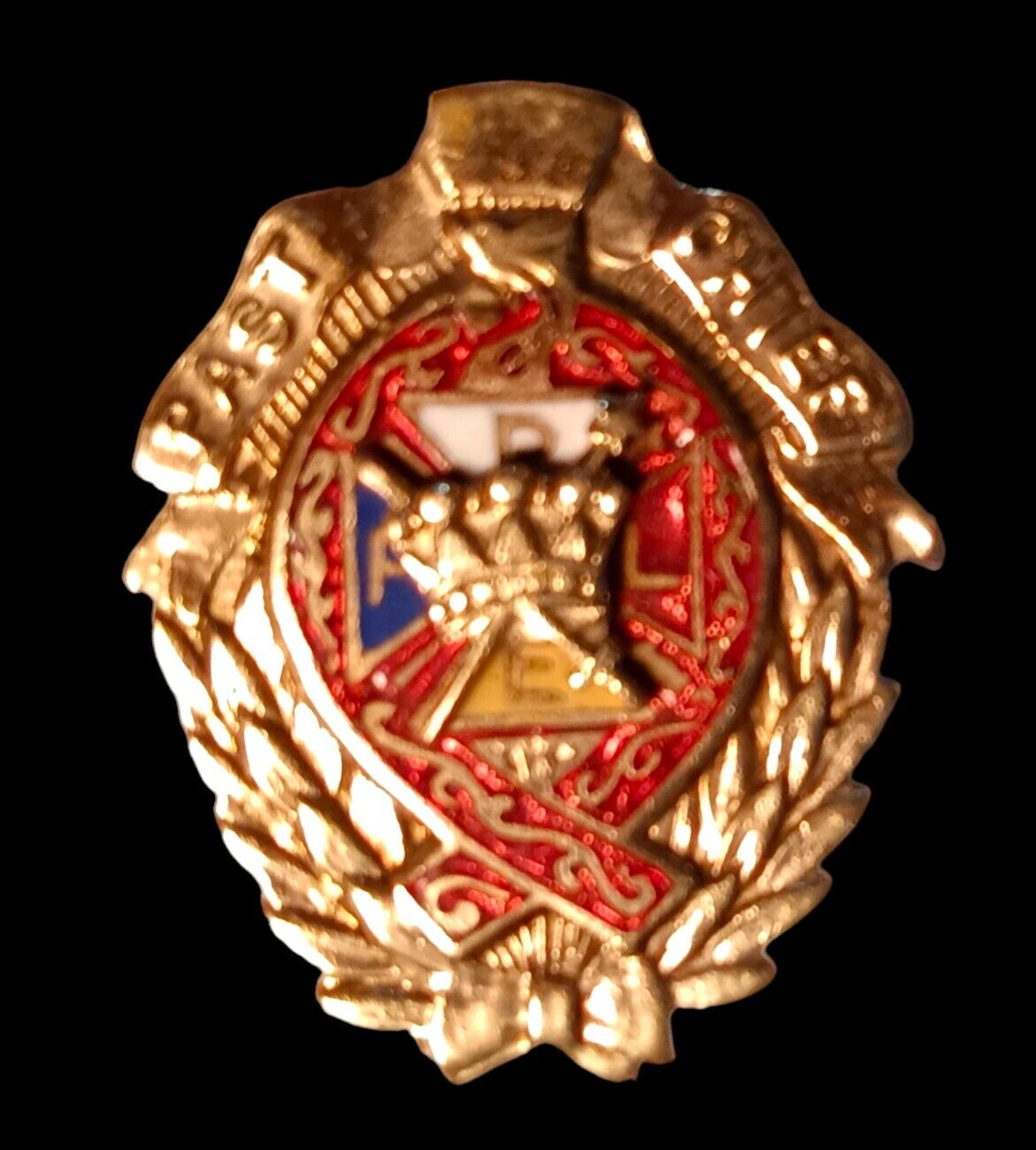 c. 1900 Past Chief Pin Badge Rare 