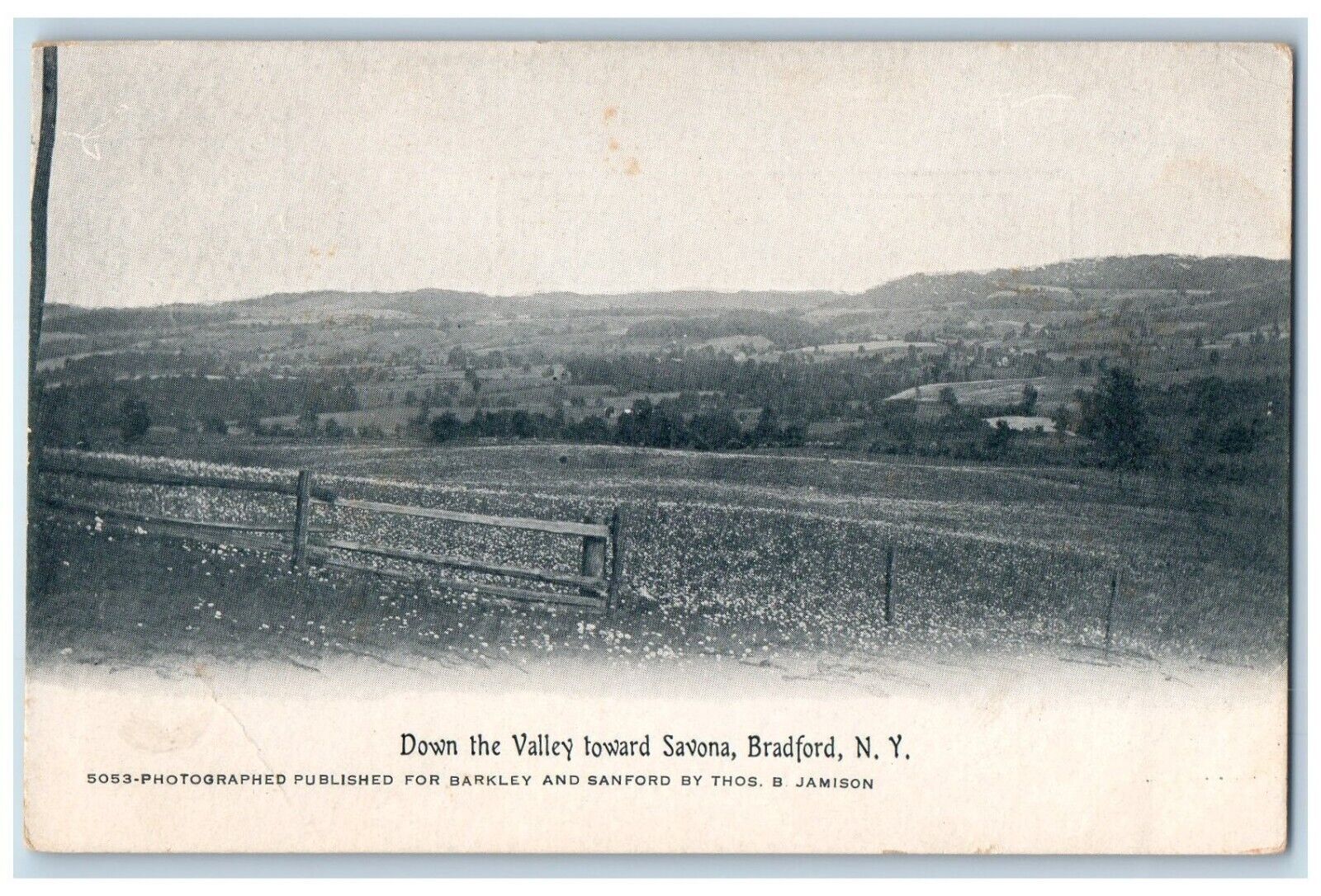 c1910 Down The Valley Toward Savona Bradford New York Vintage Antique Postcard