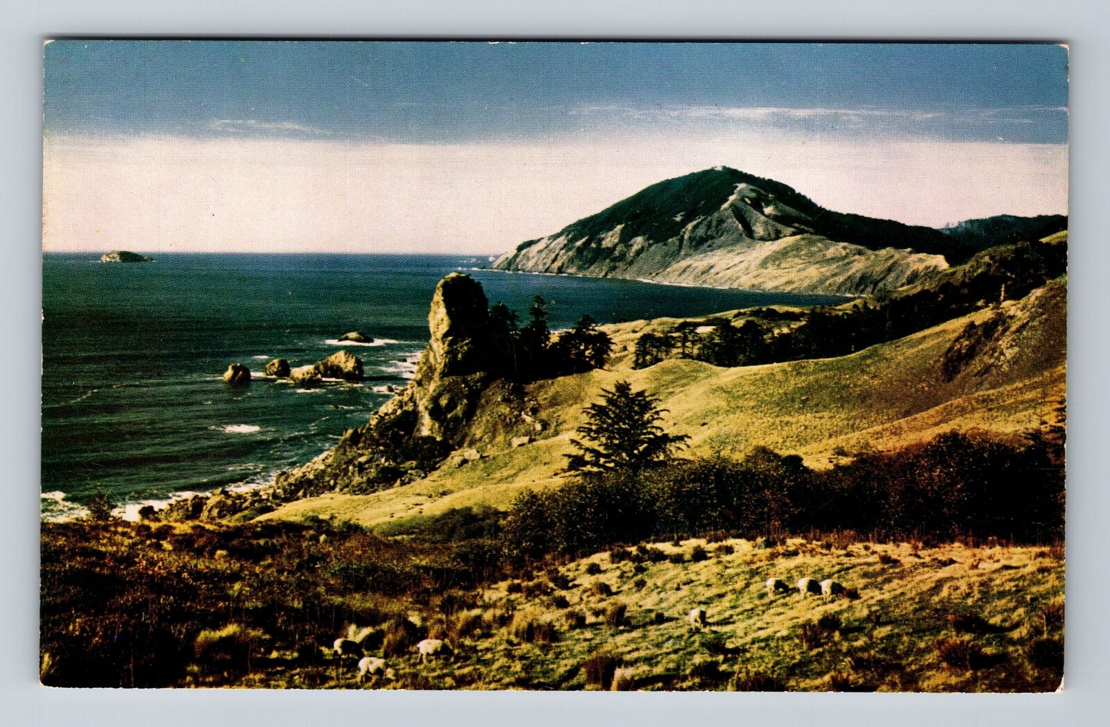 OR-Oregon, Humbug Mountain, Antique, Vintage Postcard