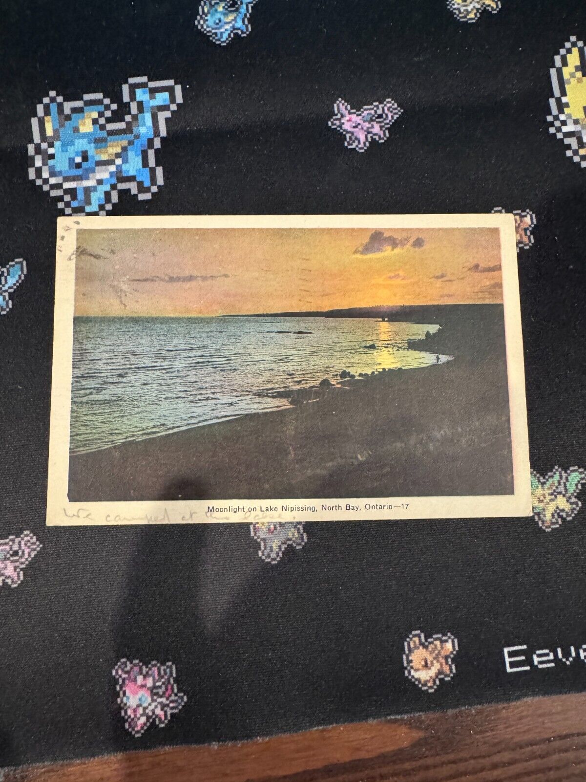 Moonlight On Lake Nipissing Vintage Postcard