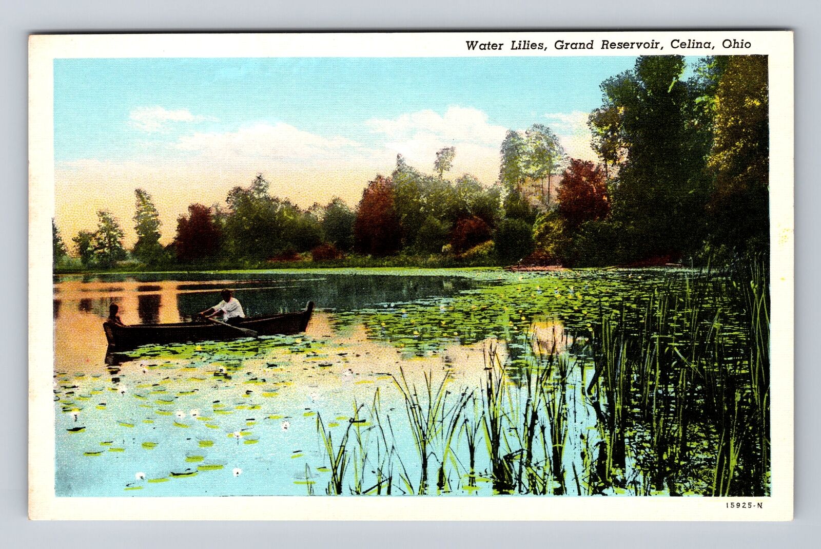 Celina OH-Ohio, Grand Reservoir Water Lilies, Antique Vintage Postcard