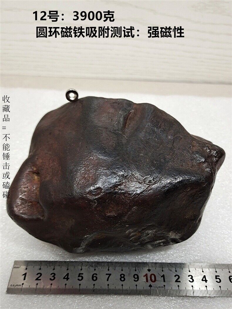 3900g Natural Iron Meteorite Specimen from   China