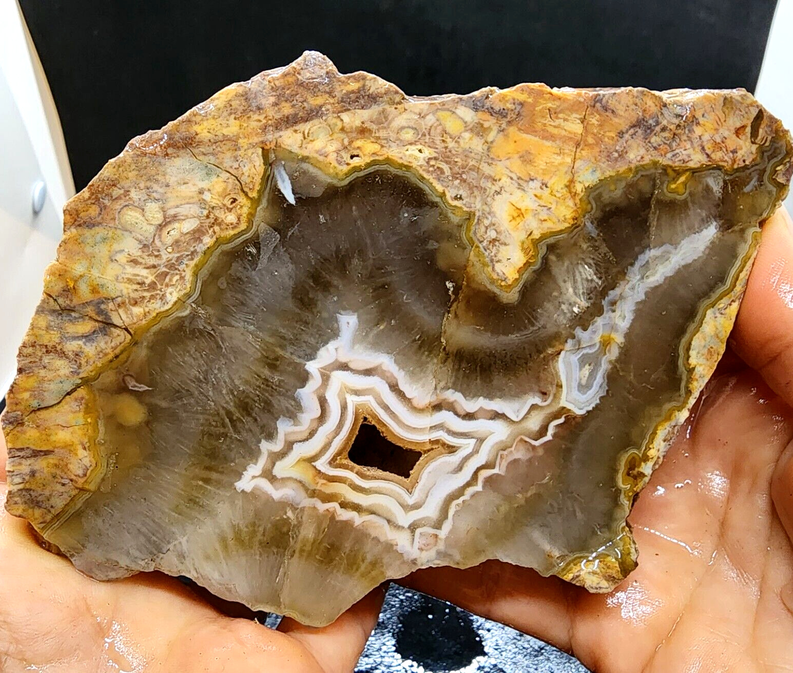 4.14 lbs (1.8 kg) 7 Lapidary Agate Rough, All Natural Rocks for Cabbing Tumbling