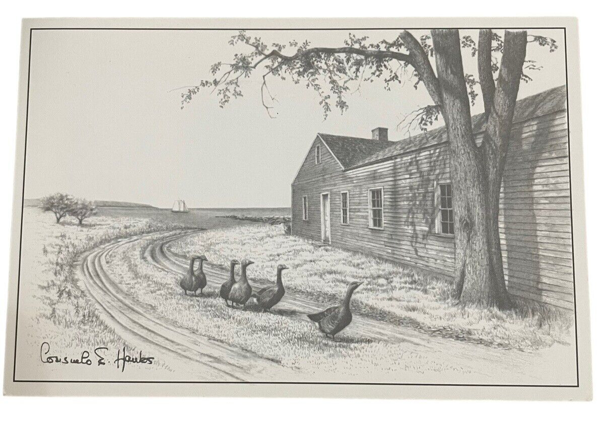 Consuelo Eames Hanks Drawing Ducks Building Path Unposted Postcard Artist Signed