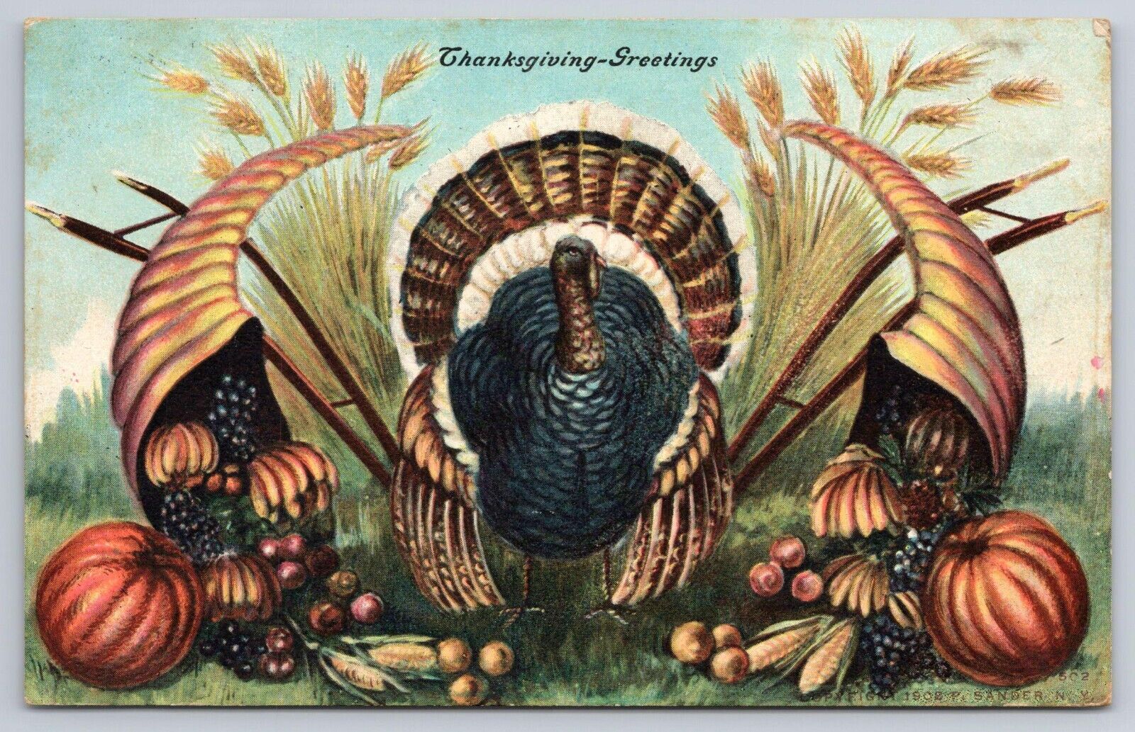 P. Sander 1908 Thanksgiving Greetings Turkey Horns of Plenty Pumpkins Postcard
