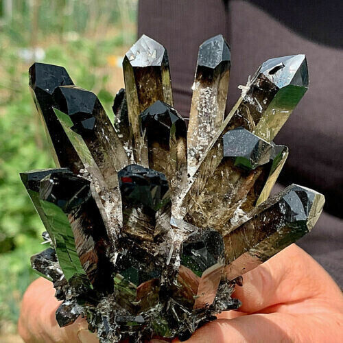 300g+ New Find BLACK Phantom Quartz Crystal Cluster Mineral Specimen Gem