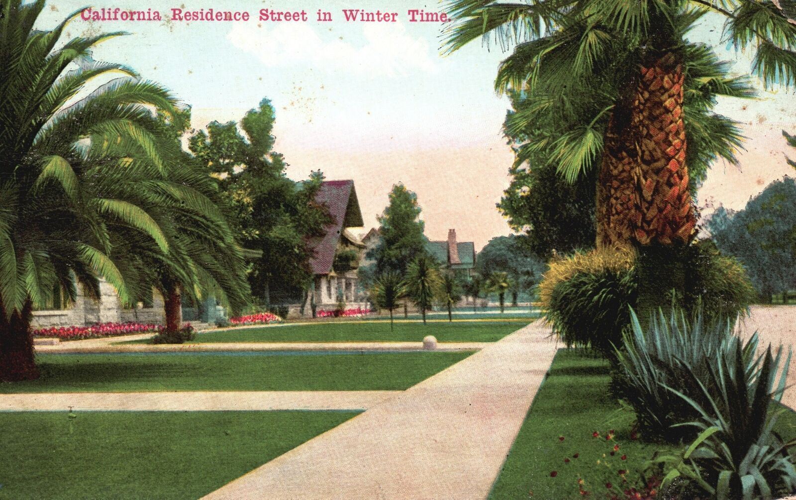 Vintage Postcard 1910\'s Residence Street Winter Time Palms Pathways California