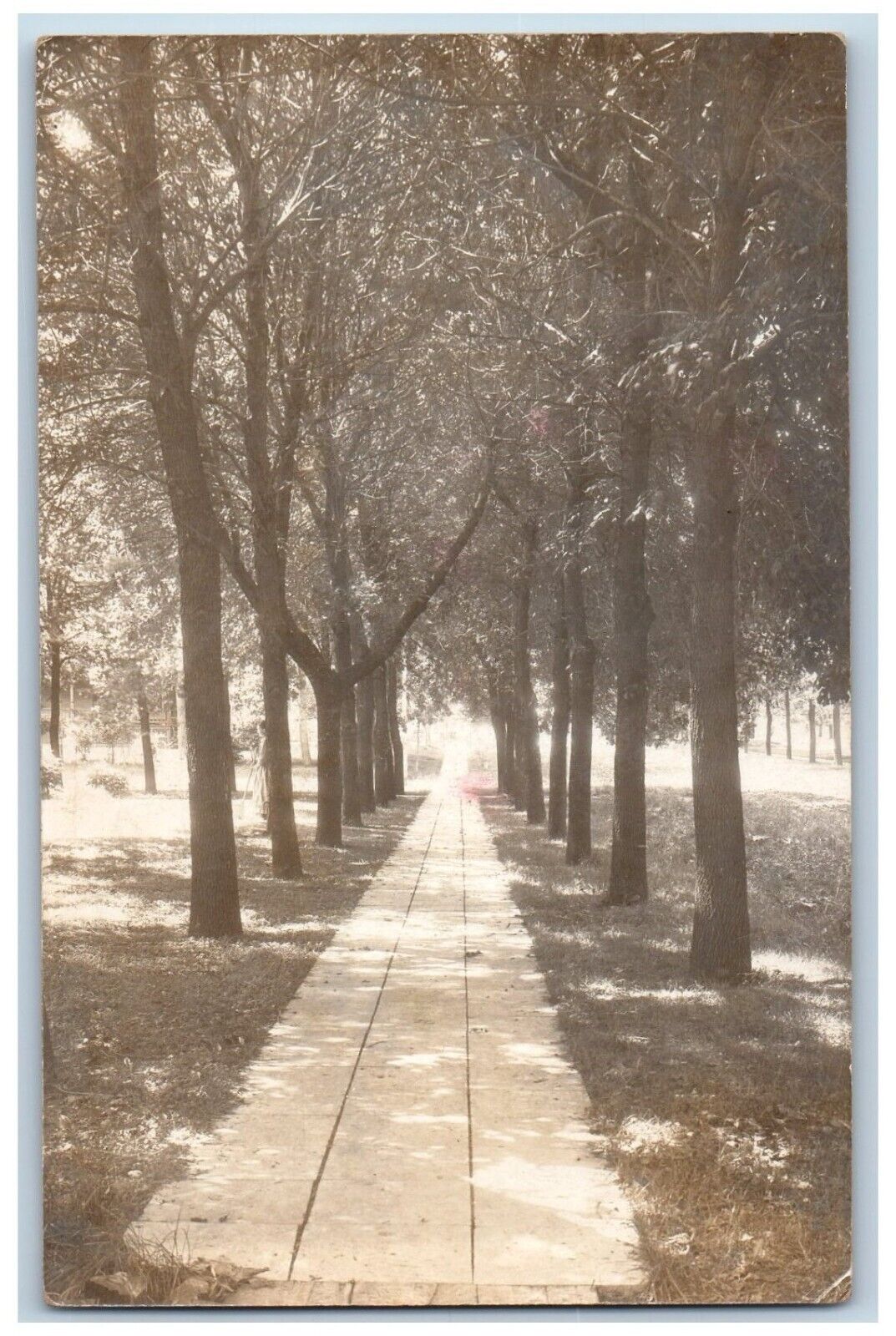 Leland Iowa IA Postcard RPPC Photo Tree Lined Scene 1908 Posted Antique