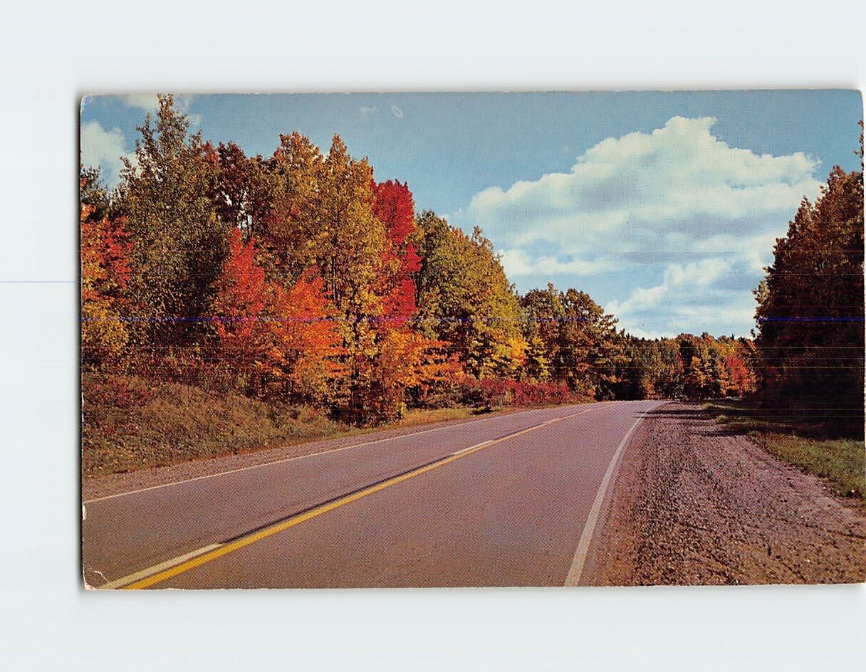 Postcard Road/Highway & Nature Scene USA North America