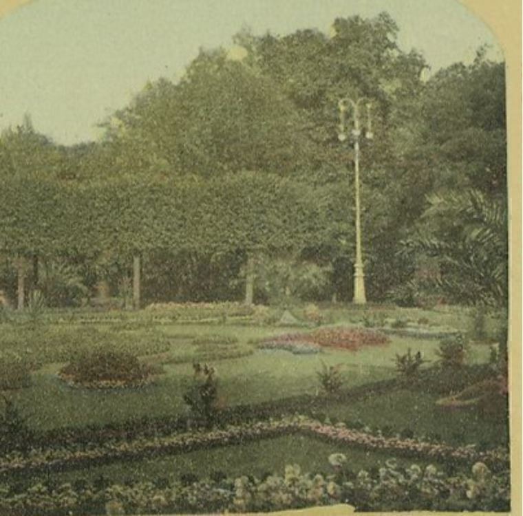 1920s Frankfort Germany The Parterre Palm Garden Color Stereoview 10-24