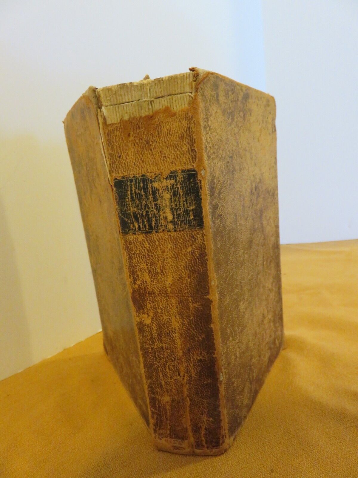 Leather Bound Holy Bible 1848  R-829