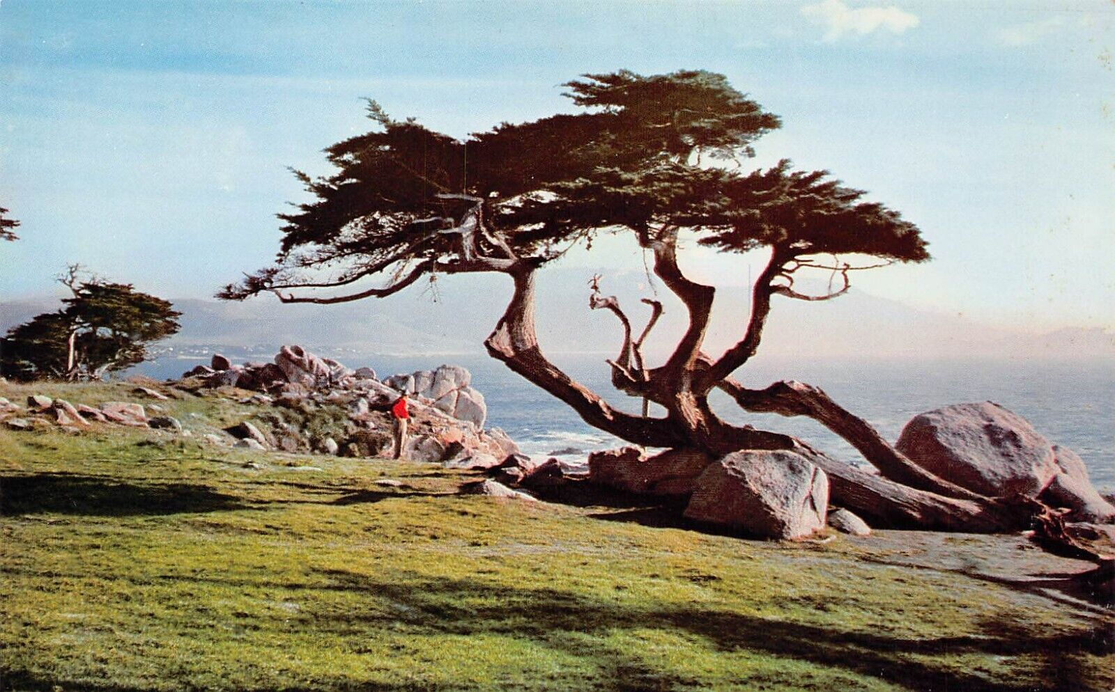 Pebble Beach CA Lone Cypress Monterey Cty California Golf Course Vtg Postcard Y4