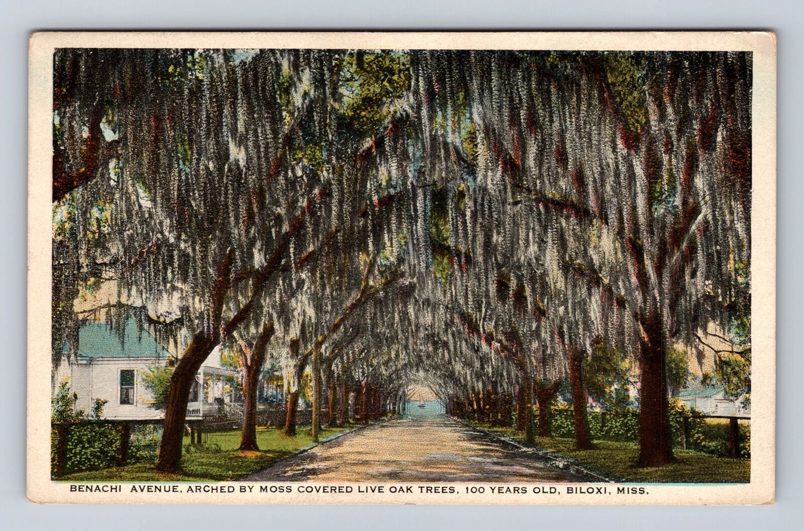 Biloxi MS-Mississippi, Benachi Avenue, Advertisement, Antique, Vintage Postcard