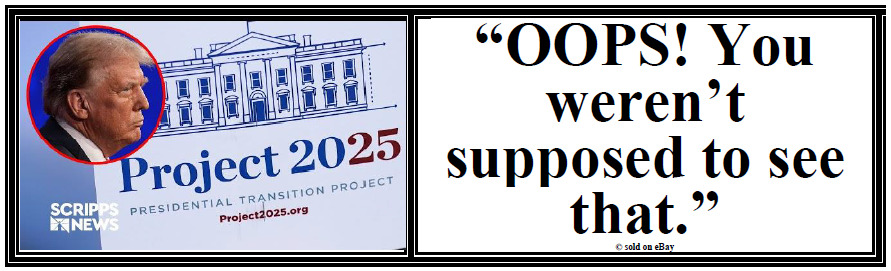 anti Trump: Project 2025 YOU WEREN'T SUPPOSED TO SEE THAT  political sticker