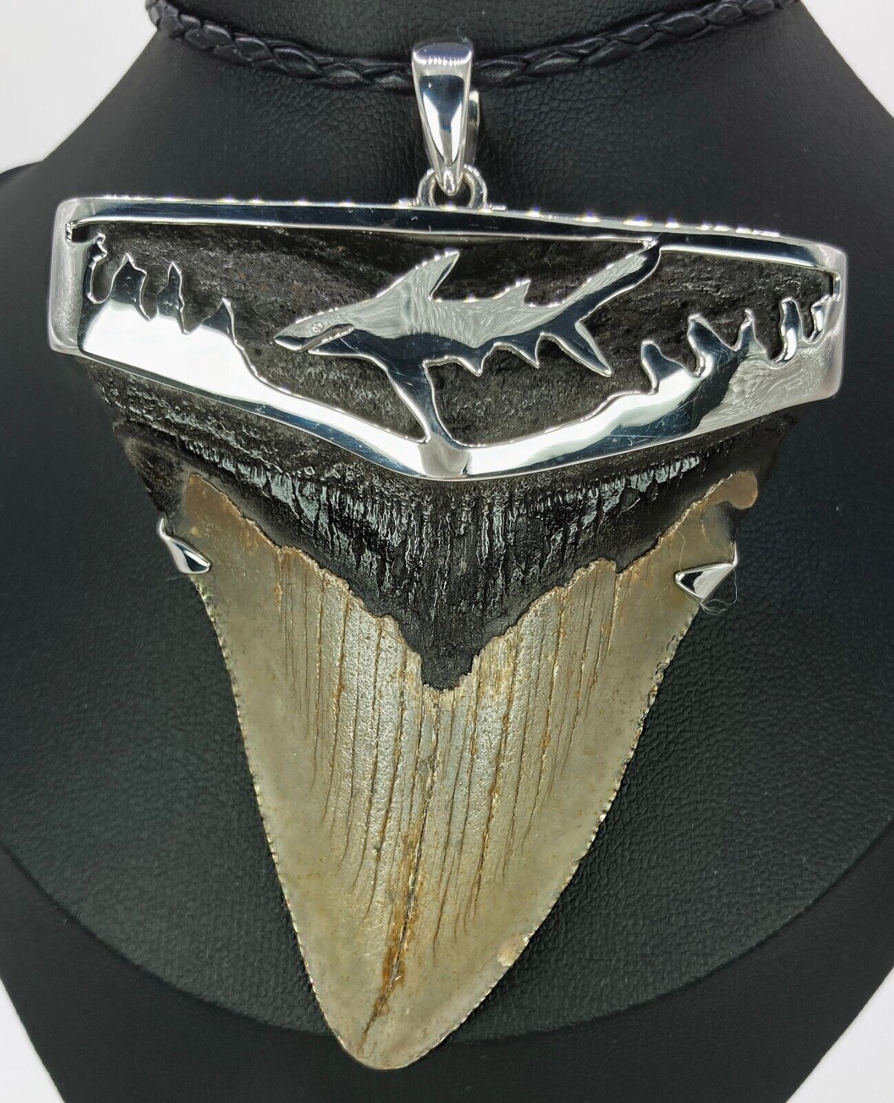 Large Fossil Meg Shark Tooth Pendant – Megalodon Tooth with Sterling Silver Cap