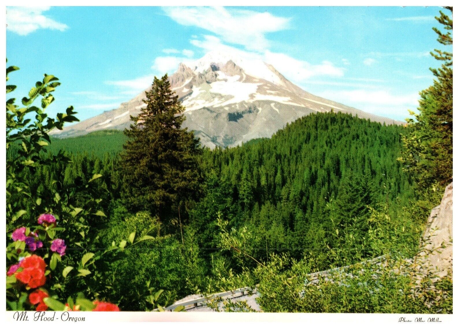 Postcard OR Oregon Mt Hood Cascade Mountains 1969 Unused 