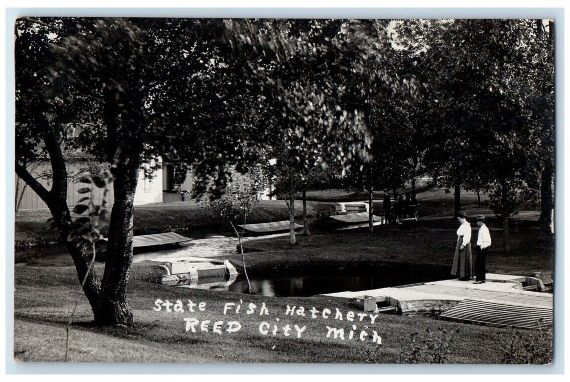 1909 State Fish Hatchery View Reed City Michigan MI RPPC Photo Posted Postcard