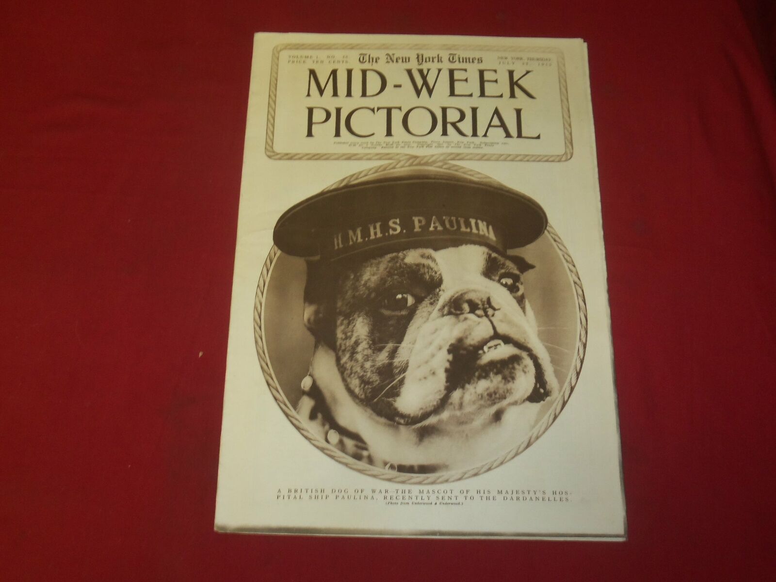 1915 JULY 22 NY TIMES PICTORIAL SECTION - BRITISH DOG OF WAR MASCOT - NP 3963