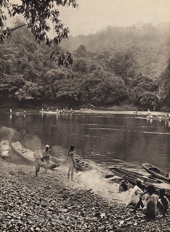 1940 Vintage K.F. Wong Borneo Dayaks Cooking Food Jungle River Landscape Photo
