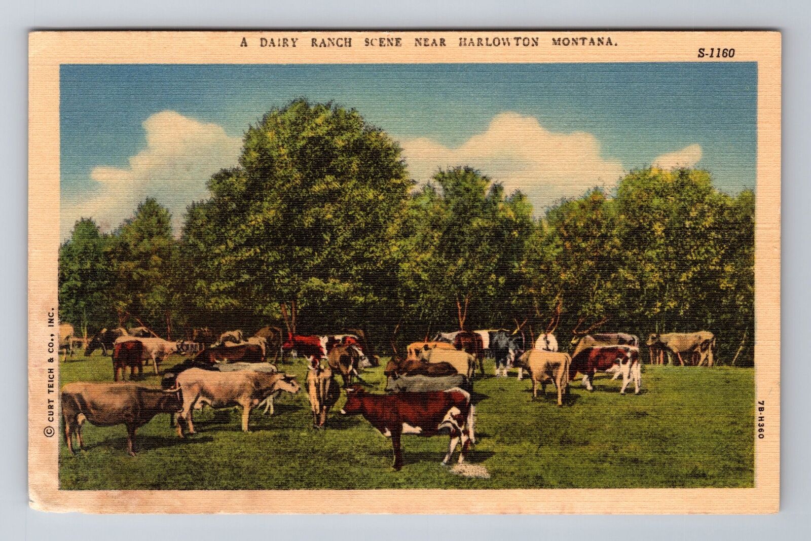 Harlowton MT-Montana, A Dairy Ranch Scene, Antique, Vintage Postcard