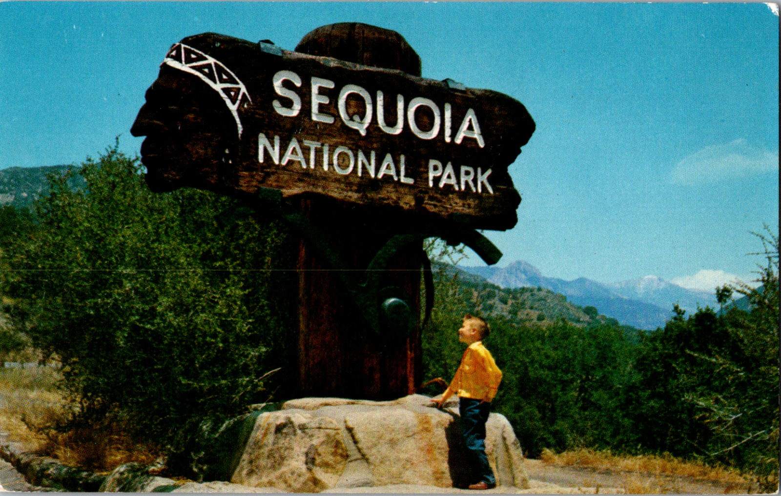 Vintage C. 1960\'s Redwood Carved Entrance Sign Sequoia National Park  Postcard