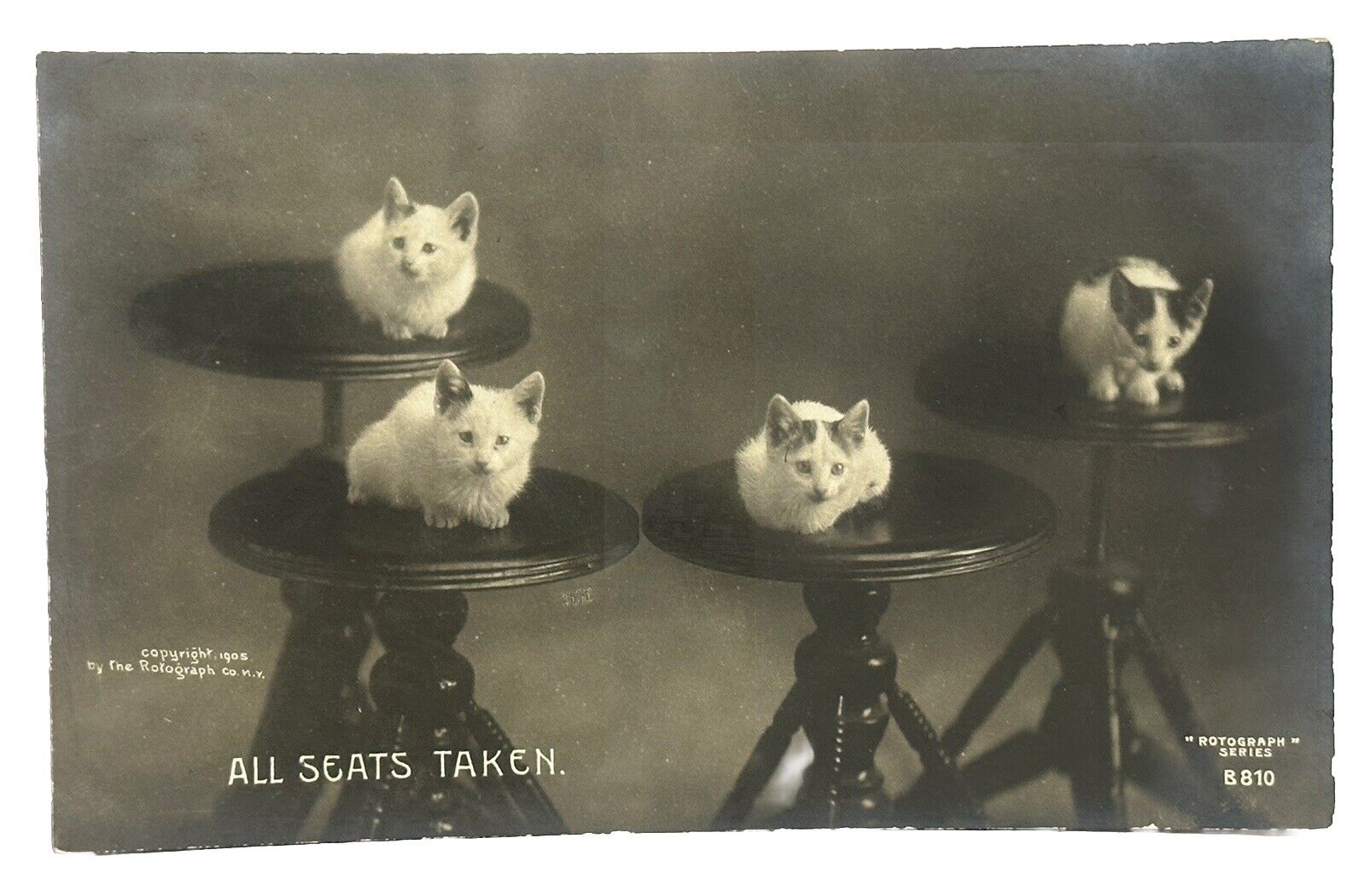 Cat Postcard Real Photo RPPC Rotograph Co All Seats Taken 1905 udb